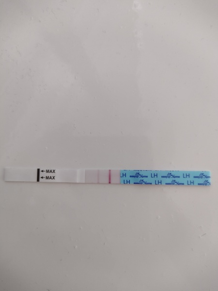 Ladies ttc this month?