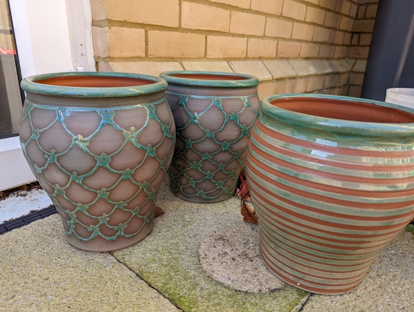 What plants for these pots please?