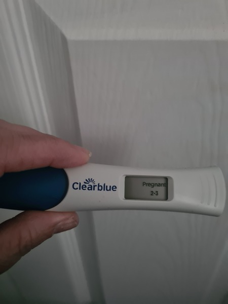 Due late Oct 🎃 - early Nov 🎉