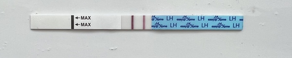 Ttc after miscarriage 🤞🌈✨ lucky thread 3!