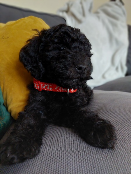 Week 7 - Jan 22 Low Carb Bootcamp