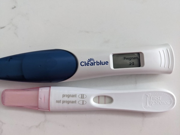 Sperm meets egg plan help!