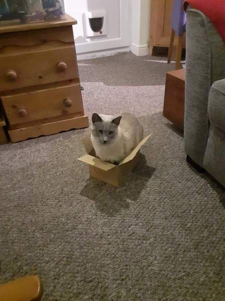 Can we have a 'that can't be comfortable' thread? I need cheering up!