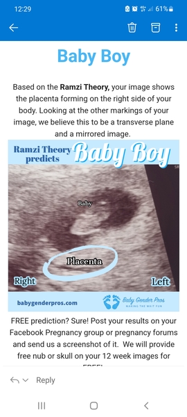 Ramzi theory anyone ??
