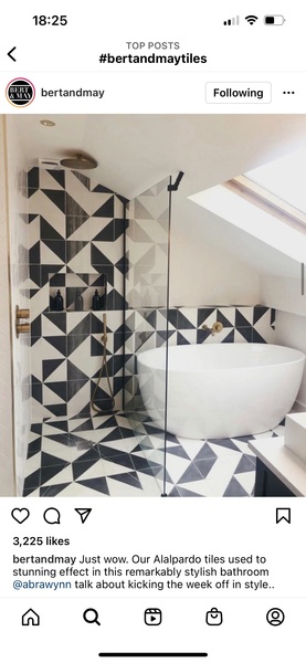What paint colour to go with these Bert and May tiles