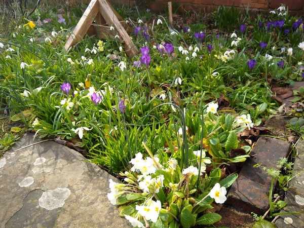 Any Witches Here? Part 16