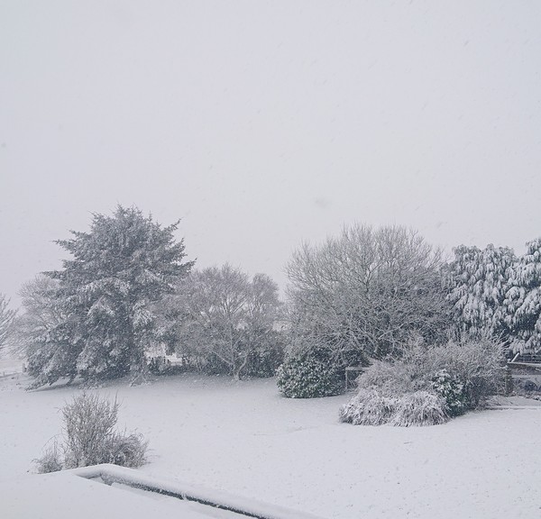 Storm Eunice Part 2.