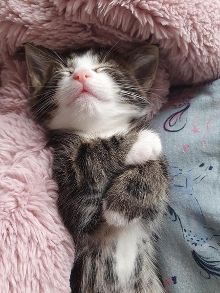 Can we have a 'that can't be comfortable' thread? I need cheering up!