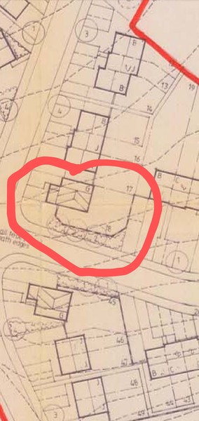What to do about this sloped garden?