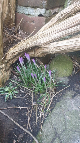 Nature Notes: the 2022 edition