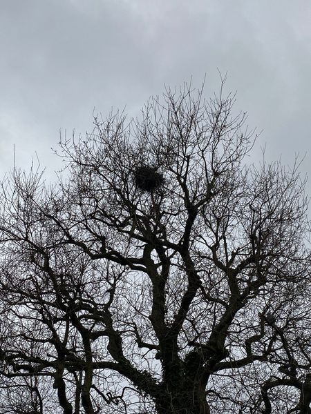 Mother Nature is a legend {smile}