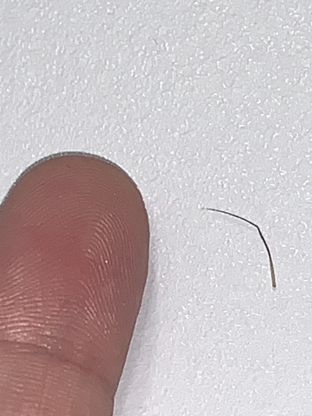 Eyebrow hair