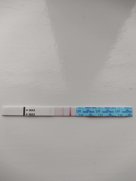 Ovulation test chat, 29/30 day cycles anyone?
