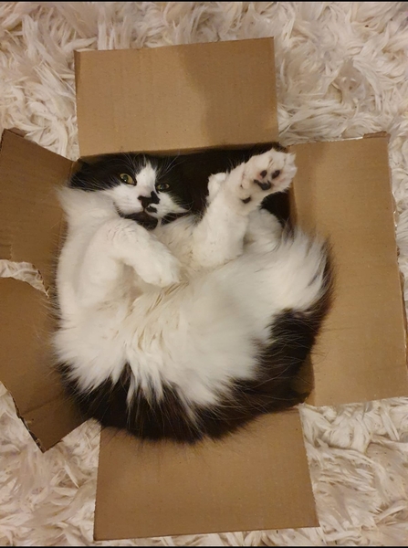 Can we have a 'that can't be comfortable' thread? I need cheering up!
