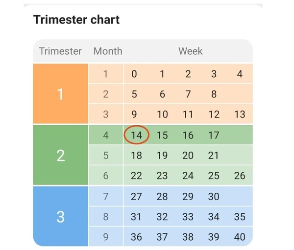 Is this accurate?