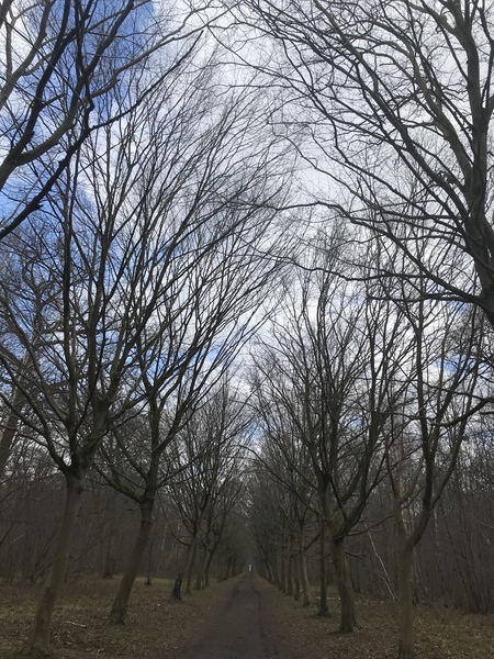 Running thread 18 - roll on spring!
