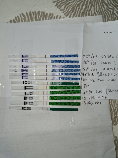 Worried about line progression (again) 17dpo