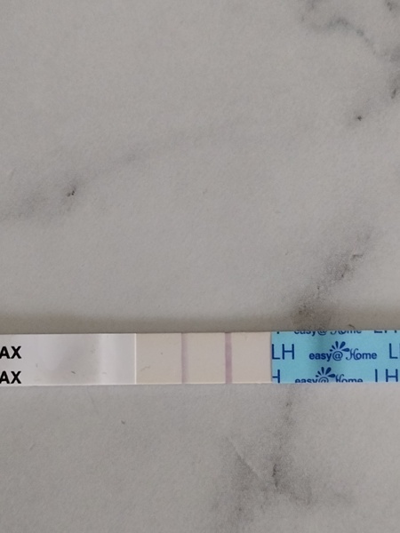 Thoughts on whether this is a positive OPK please..