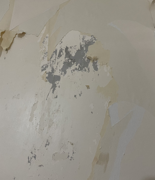 Can this wall be salvaged?