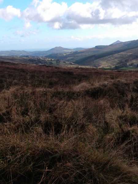 2022: Run, walk, cycle, swim, etc 1000 km/miles or whatever!