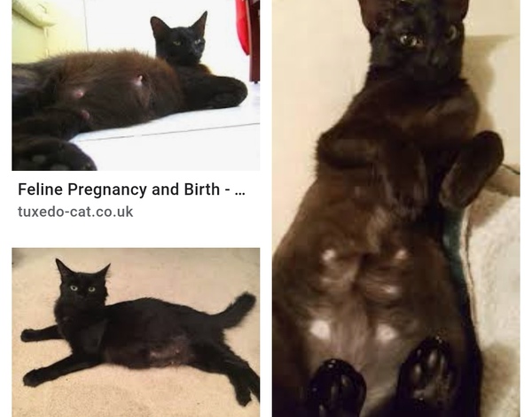 Is there a vet on here?