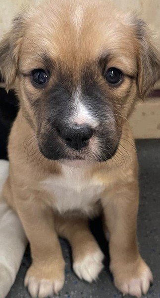 Which name?