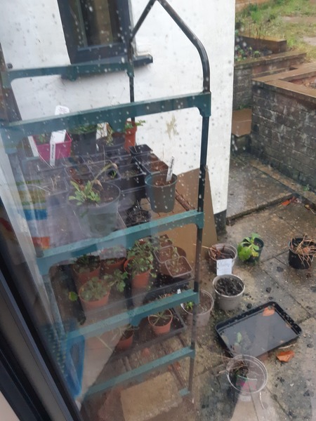 Indoor seed growing kit