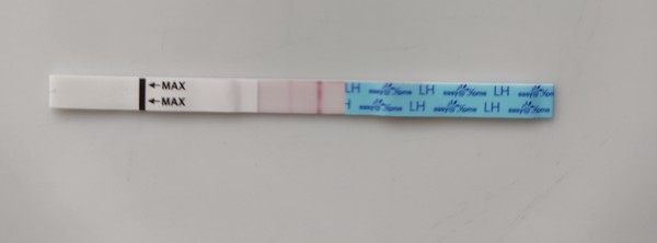 Ovulation test chat, 29/30 day cycles anyone?