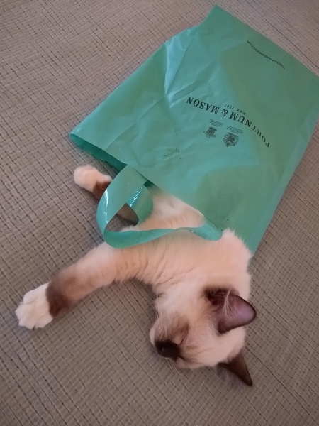 Can we have a 'that can't be comfortable' thread? I need cheering up!
