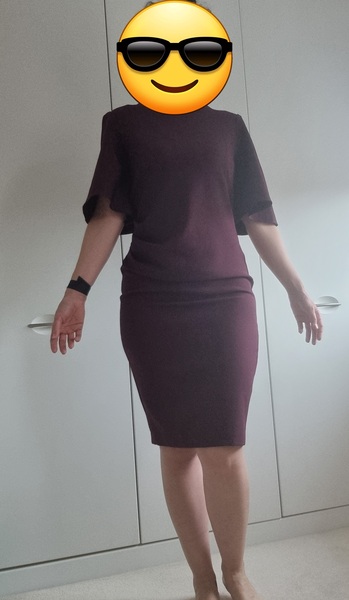 Help!! Looking for a dress for a work event