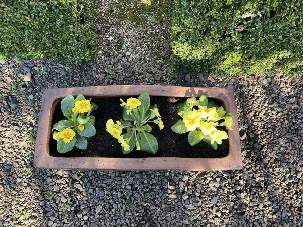 Show Us Your Pictures: 5 Alive