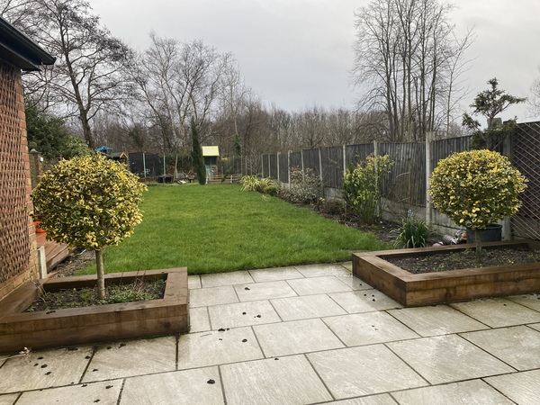 Help me finish this planting- with photos😊