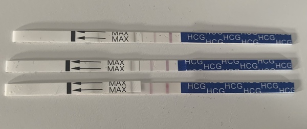TTC with Letrozole/Clomid