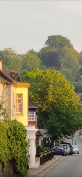 To ask you to show me your gorgeous fancy houses?