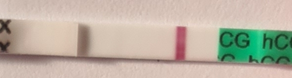 18dpo and still faint