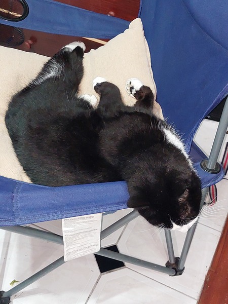 Can we have a 'that can't be comfortable' thread? I need cheering up!