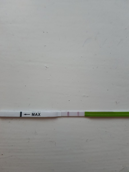Ovulation sticks