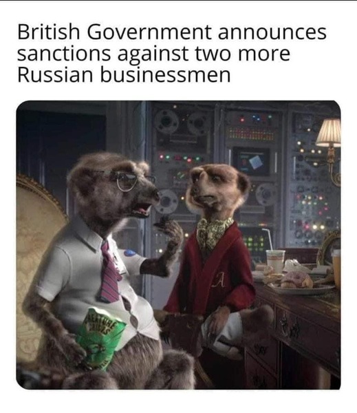 Will the meerkats ever be used in marketing again?