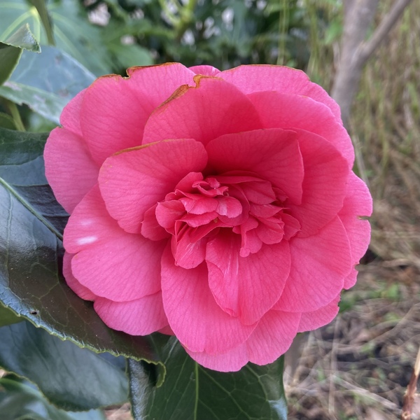 Nature Notes: the 2022 edition