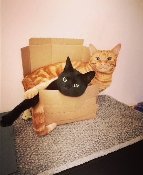 Can we have a 'that can't be comfortable' thread? I need cheering up!