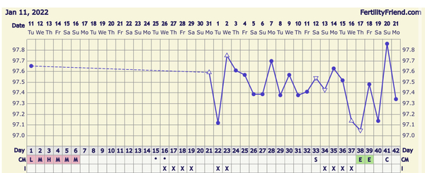 Is this an anovulatory chart?