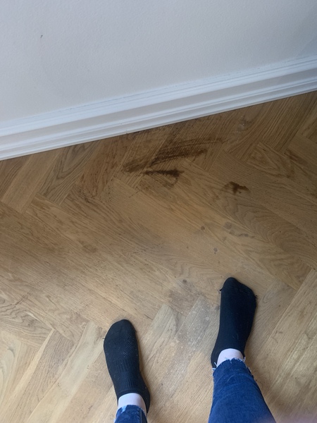 Can anyone who knows anything about wood floors please help asap
