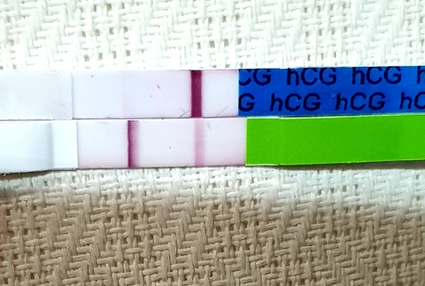 Chemical or pregnancy