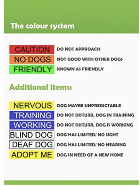 Dog Collar Colours
