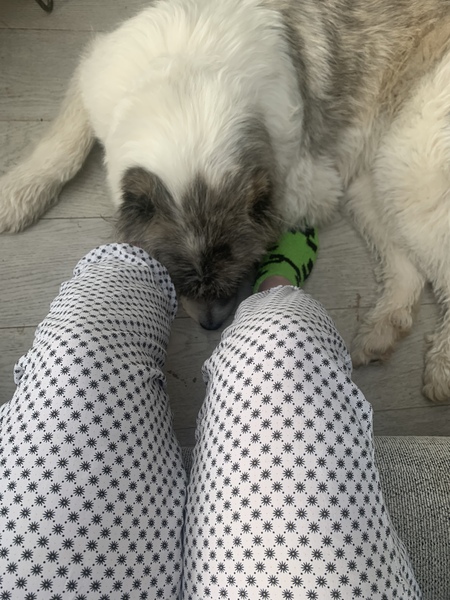 Dog tomorrow (eek!) but I’m injured