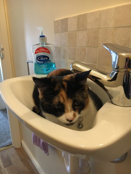 Can we have a 'that can't be comfortable' thread? I need cheering up!