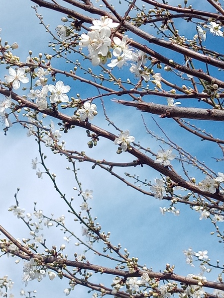 Week 5 - Low Carb Bootcamp '22 - we're half way through!