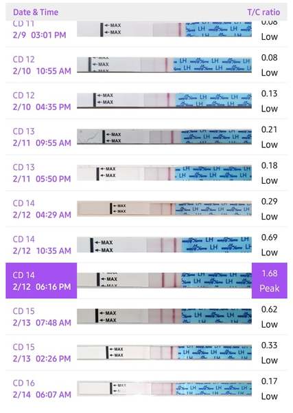 Valentines Day is Ovulation Day