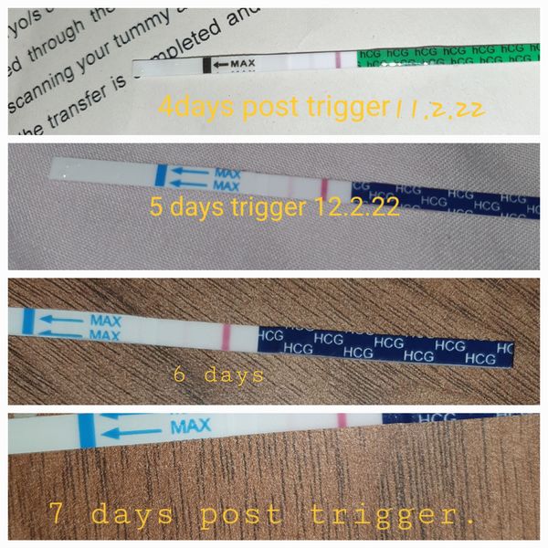 IVF/FET Jan/Feb/March No2 2022