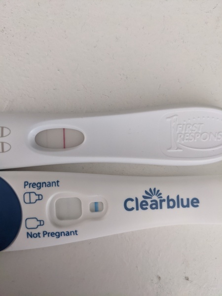 Due late Oct 🎃 - early Nov 🎉